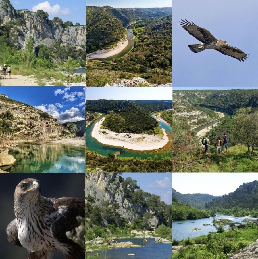Le Cherche Midi, Entre Nimes, Le Pont Du Gard, Uzes, Arles 马尔格里特 外观 照片